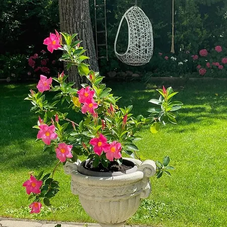 Гостевой дом Na Stare Poste